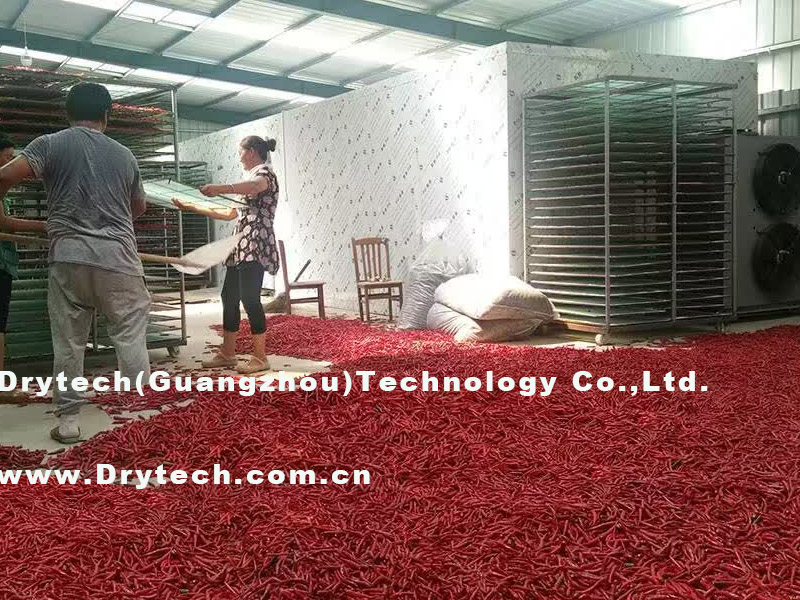 Drytech drying machine use for drying chilli